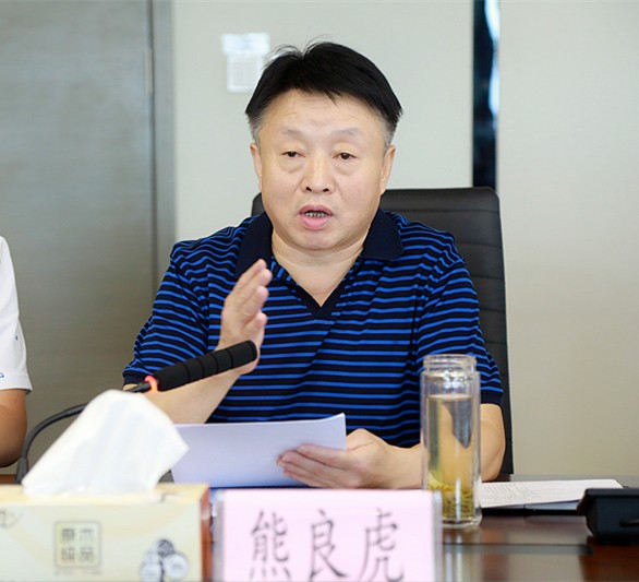 省审计厅对陕西J9集团集团进行2018年资产负债损益审计