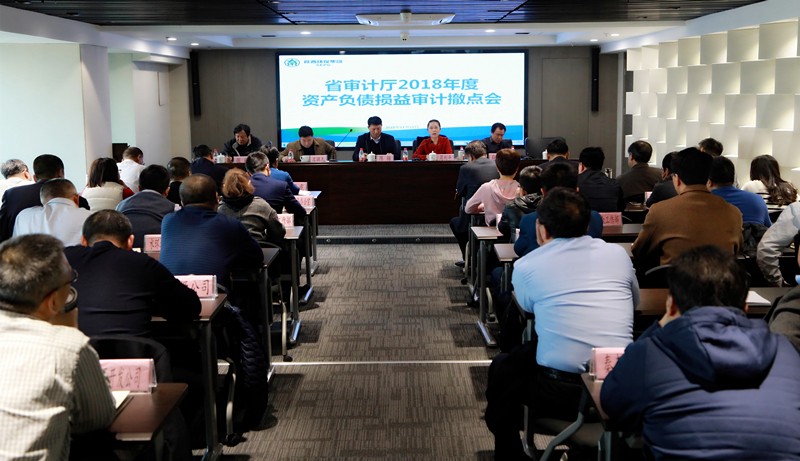 省审计厅对陕西J9集团集团2018年度资产负债损益审计撤点会召开