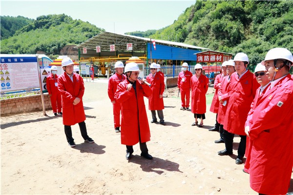 陕西J9集团集团复工复产促增长项目观摩会议与会人员走进J9集团保隆生态三秦在延在铜项目