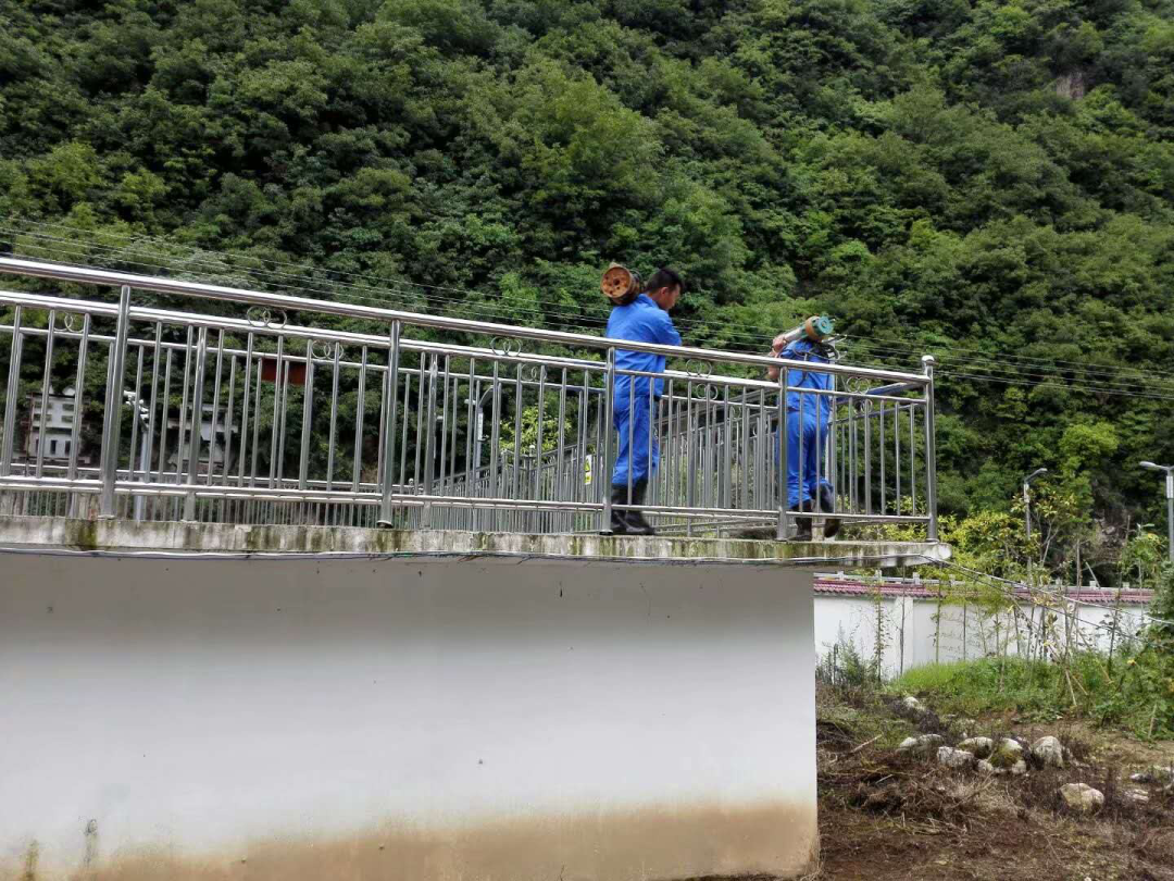 这个端午节，水环境人这么过（二）